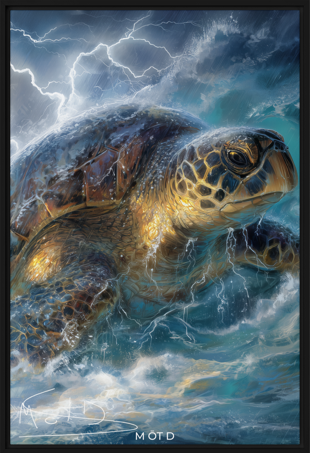 M ŌT D™  Patience