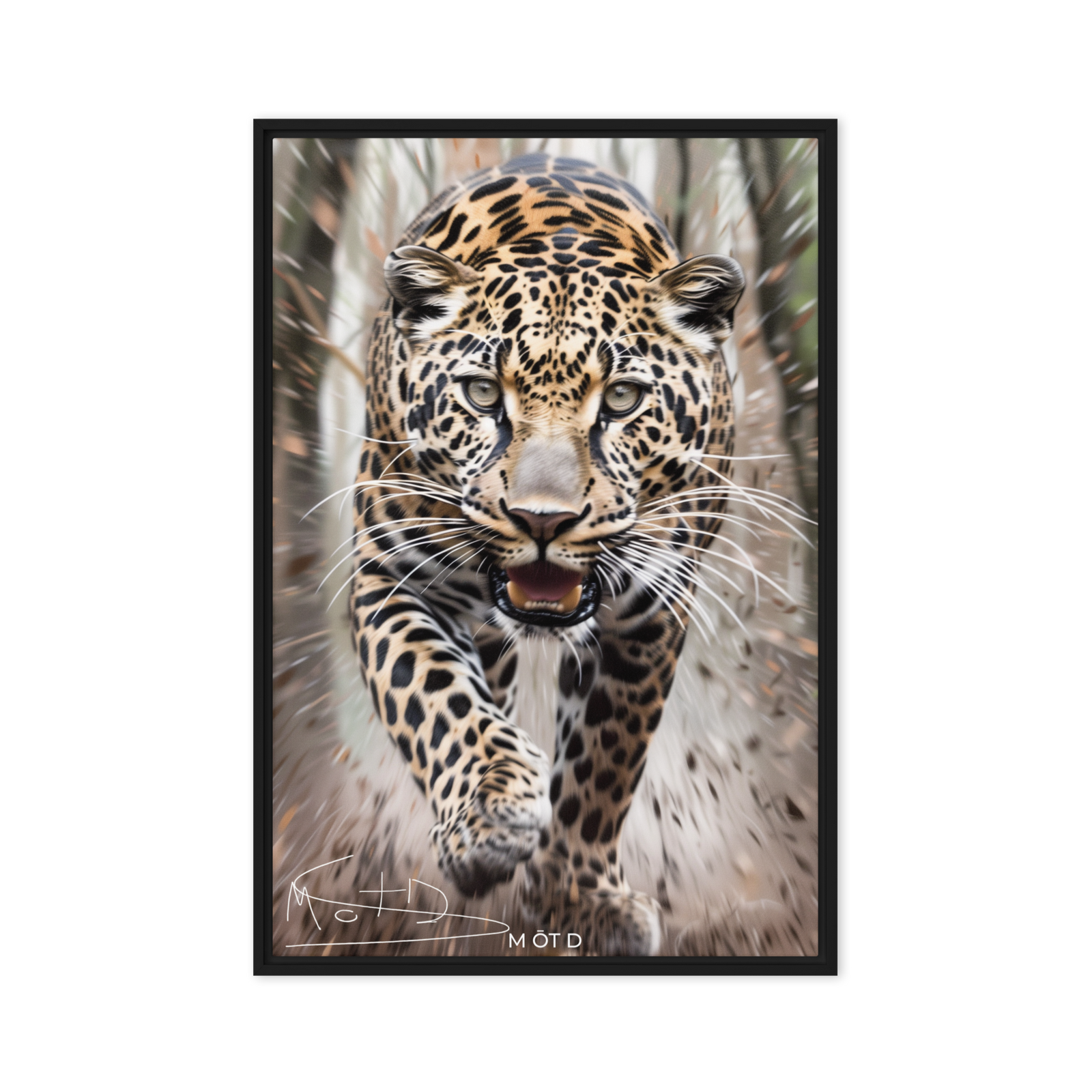 M ŌT D™ 2025 VΛLT #0182